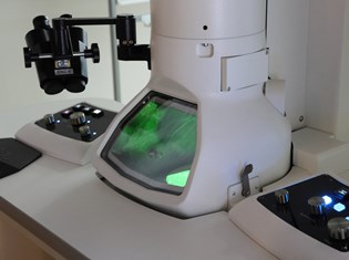 746A5508.JPG